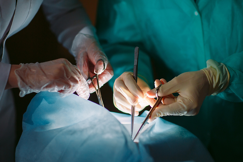 Klinički centri u Tuzli i Sarajevu u maju ponovo pokreću proces transplantacija (Foto: Shutterstock)