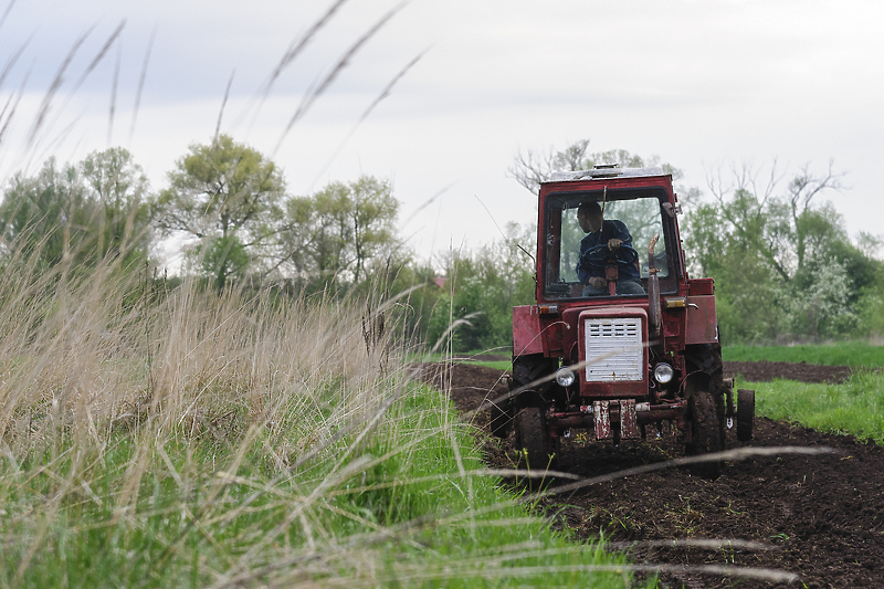 Ukrajinsko poljoprivredno zemljište je jedno od najboljih na svijetu (Foto: EPA-EFE)