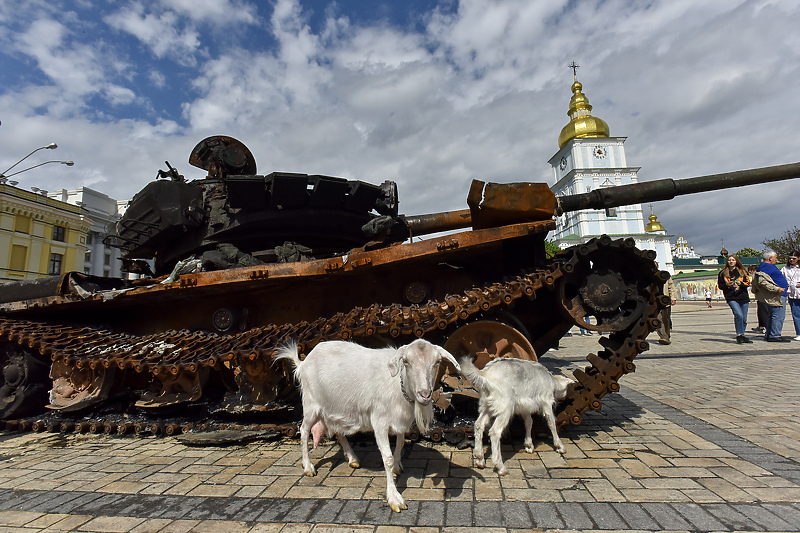 Uništena ruska oprema privukla je i "zanimljive" posjetioce (Foto: EPA-EFE)