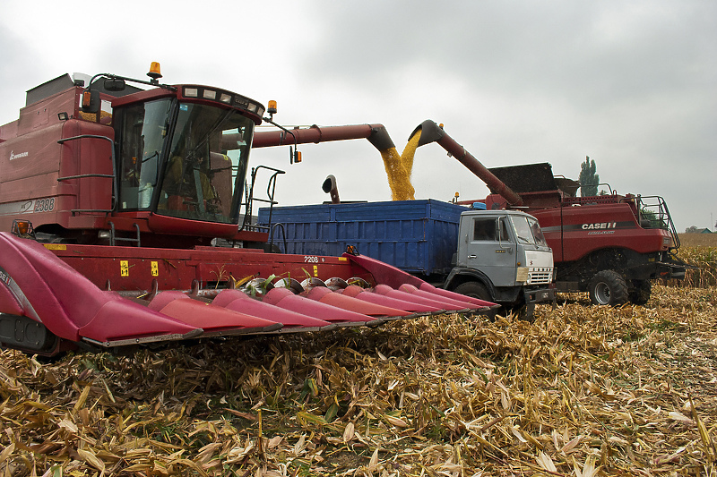 Ukrajinci tvrde da im Rusi kradu žito (Foto: EPA-EFE)