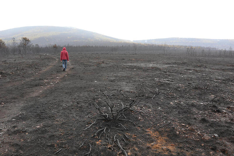 Polje opustošeno požarom u provinciji Zamora, Španija (Foto: EPA-EFE)