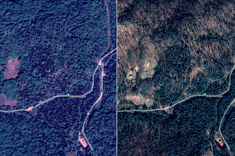 Dvogodišnja razlika u gustini šume vidljiva iz zraka