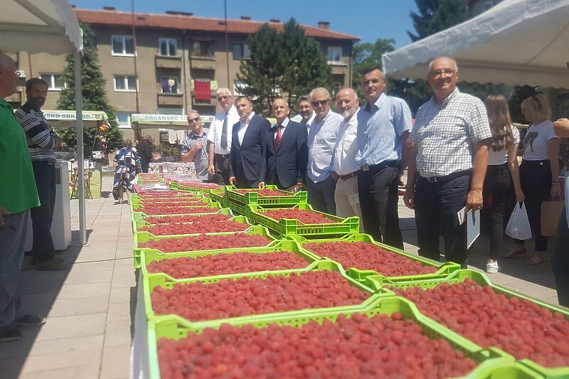 Federalni ministar Dedić otvorio "Dane maline" u Novom Travniku