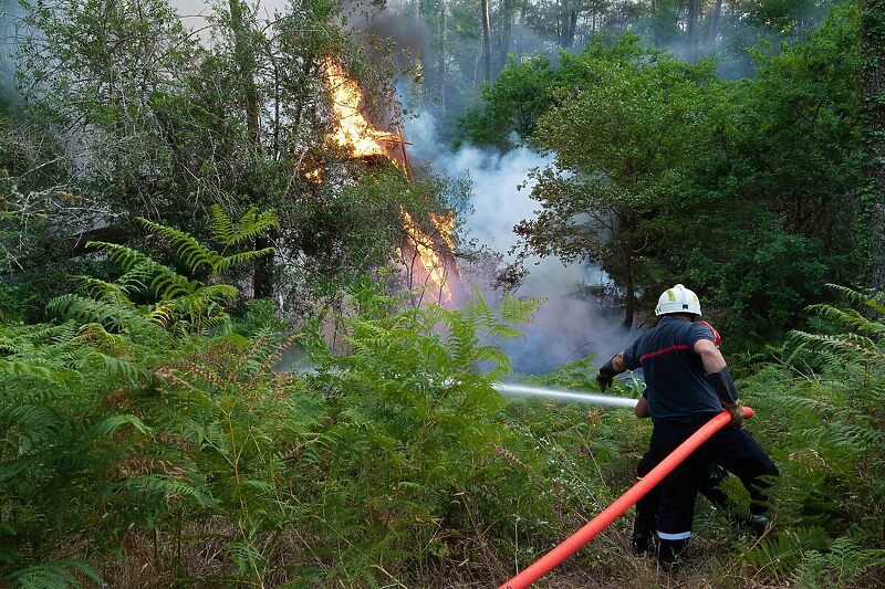 Požari su poharali jug Francuske (Foto: EPA-EFE)