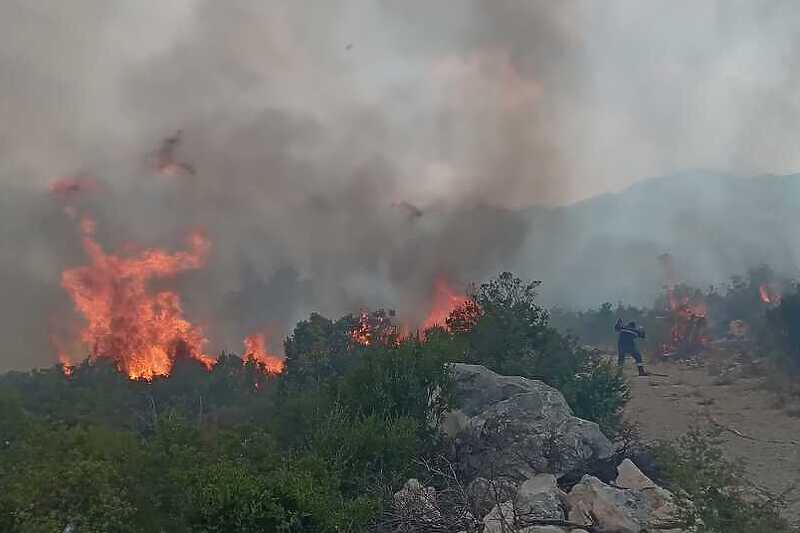 Vatrogasci na terenu pokušavaju obuzdati vatru (Foto: PVJ Neum)