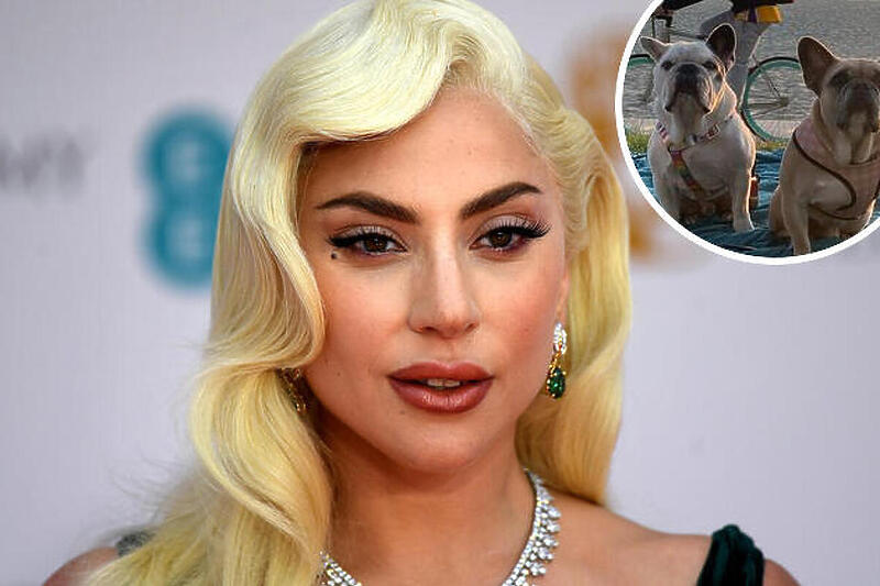 Lady Gaga je za pronalazak ukradenih pasa ponudila nagradu od ponudila nagradu od 500.000 dolara (Foto: EPA-EFE)