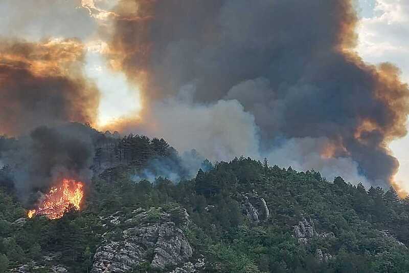 Požar u regiji Trebinja (Foto: Vatrogasci Srpske)