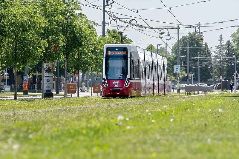 Beč ozelenjava tramvajsku prugu (Foto: Wiener Linien)