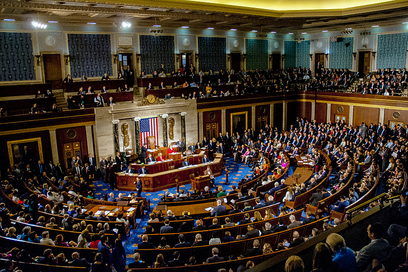 Ostalo je da zakon usvoji i Senat (Foto: Shutterstock)