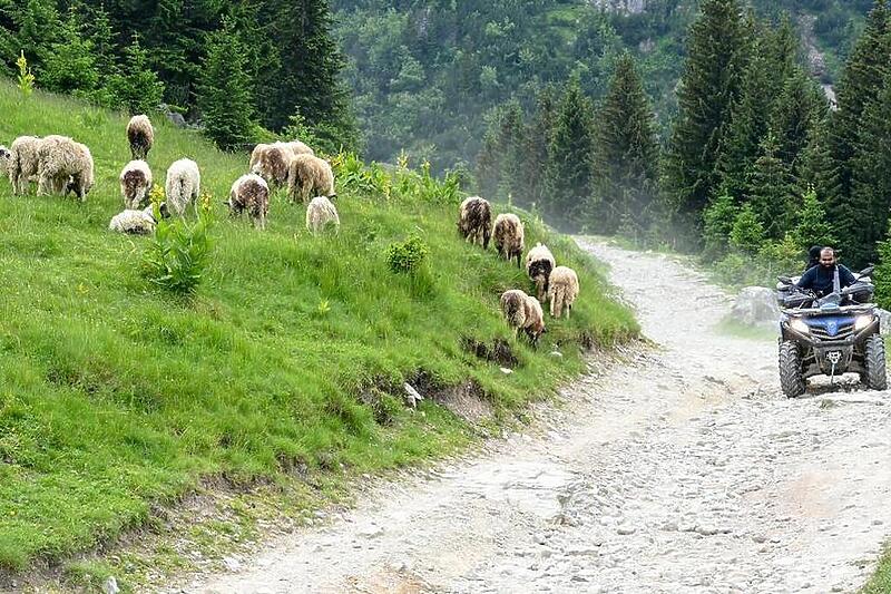 Planinskim obroncima sada defiluju terenska vozila, a nekada su pasla stada ovaca (Foto: DW)