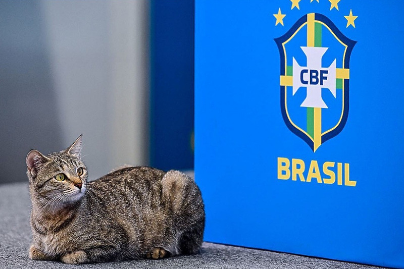 Maca je izgleda postala miljenica Brazilaca (Foto: Twitter)