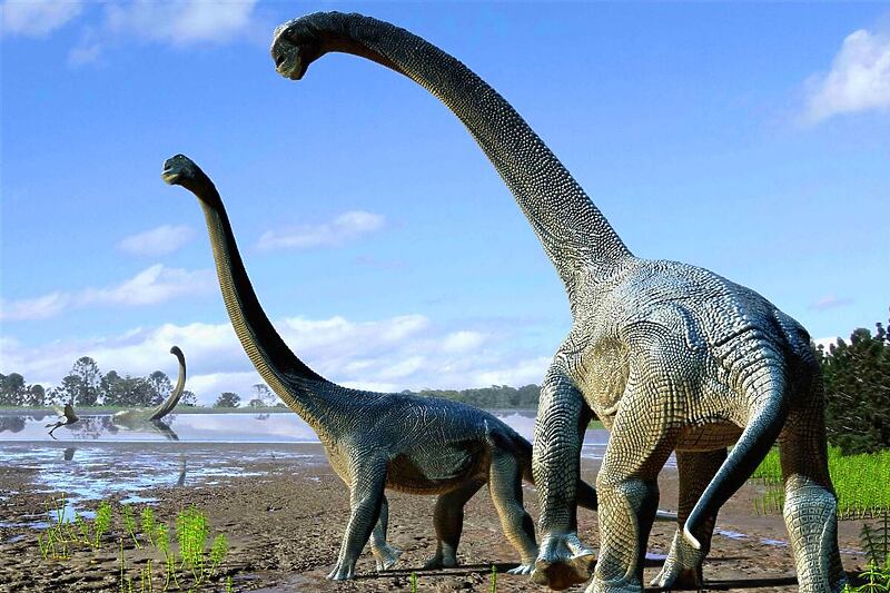 Travis Tischler, Australian Age of Dinosaurs Museum of Natural History (Foto: Ilustracija)