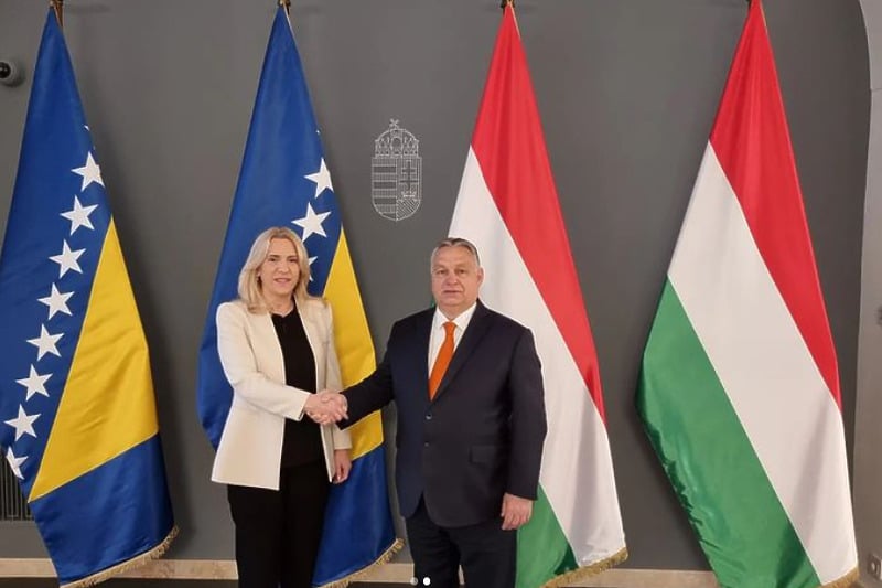 Željka Cvijanović i Viktor Orban (Foto: Instagram)