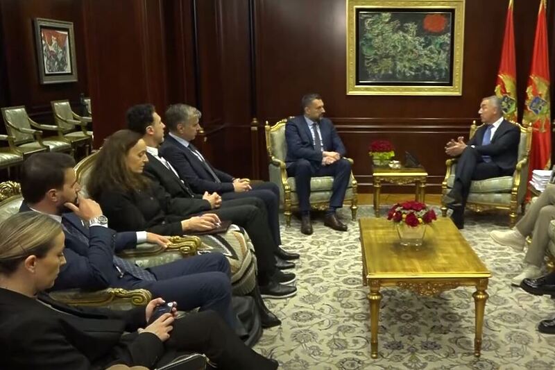 Muzur Otkud Nermin Muzur u Konakovićevoj delegaciji u Podgorici?
