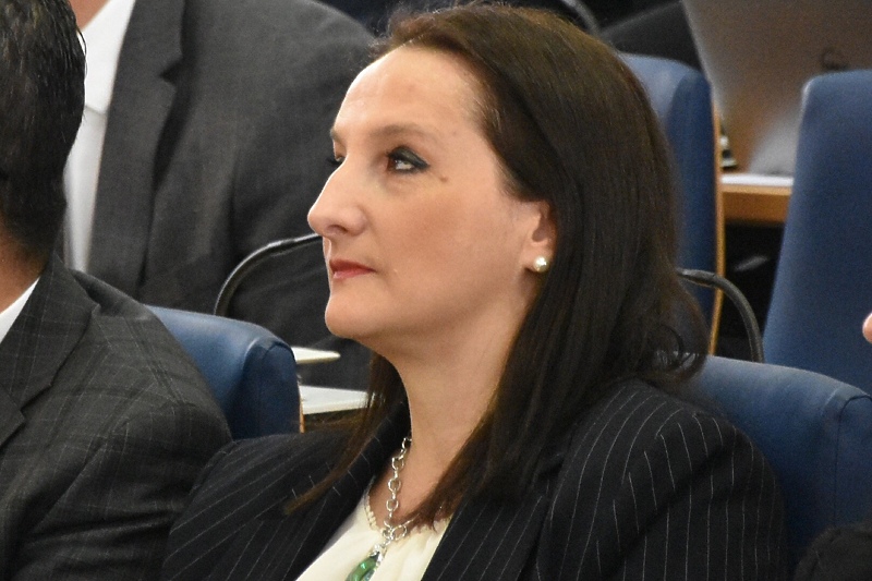 Jasmina Biščević Tokić, zastupnica SDA u Parlamentu FBiH (Foto: Klix.ba)