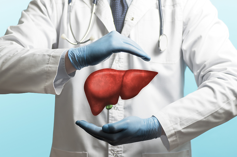 Jetra je jedan od najaktivnijih i najvitalnijih organa u našem tijelu (Ilustracija: Shutterstock)