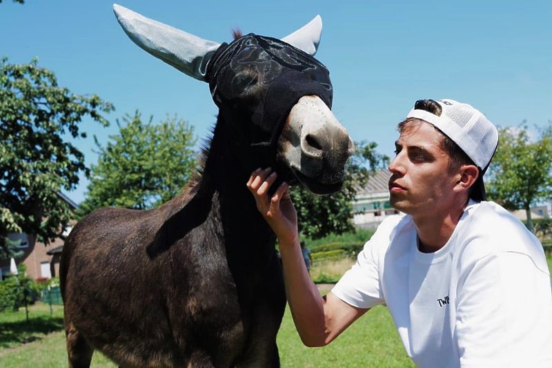 Havertz je oduvijek bio ljubitelj ove životinje (Foto: Kai Havertz / Twitter)