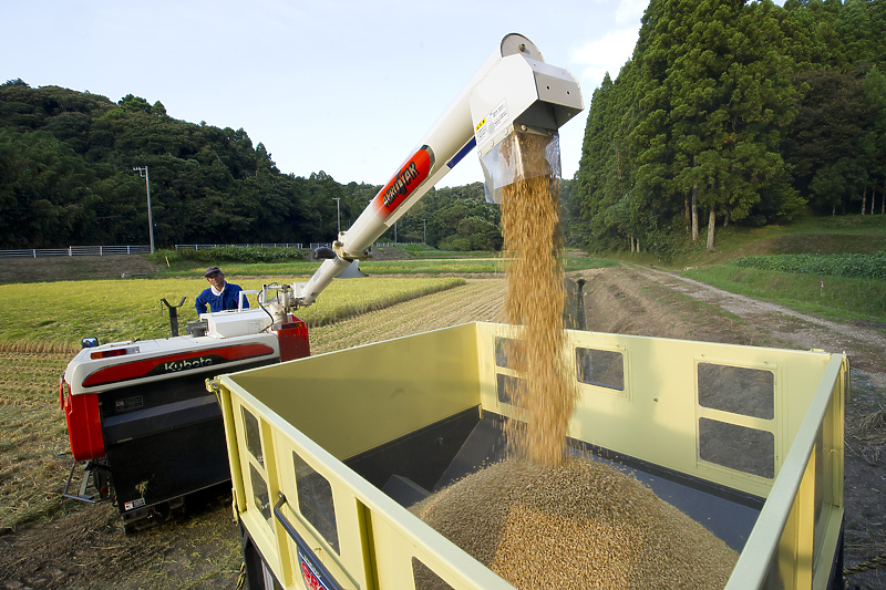 Rastom cijena riže pogođeno 3,5 milijardi ljudi (Foto: EPA-EFE)