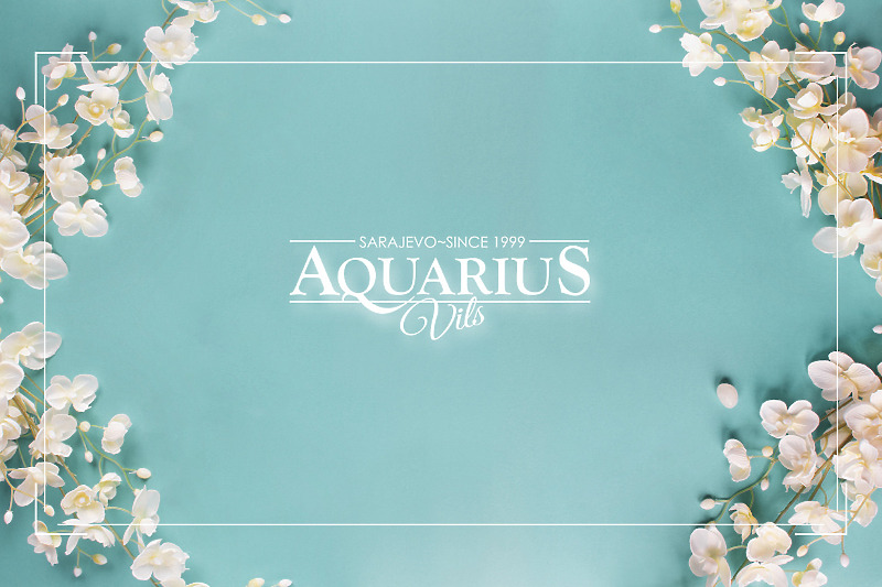 Aquarius Vils