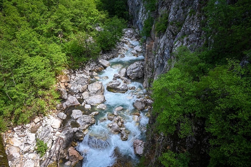 Foto: Vladimir Tadić