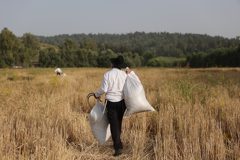 Na granici Izraela i Pojasa Gaze mnogo je radnika iz drugih država koji tu obrađuju zemlju (Foto: EPA-EFE)