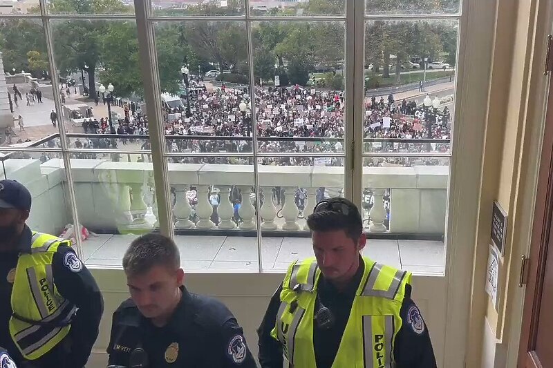 Protest američkih Jevreja ispred Kongresa u Washingtonu (Foto: X)