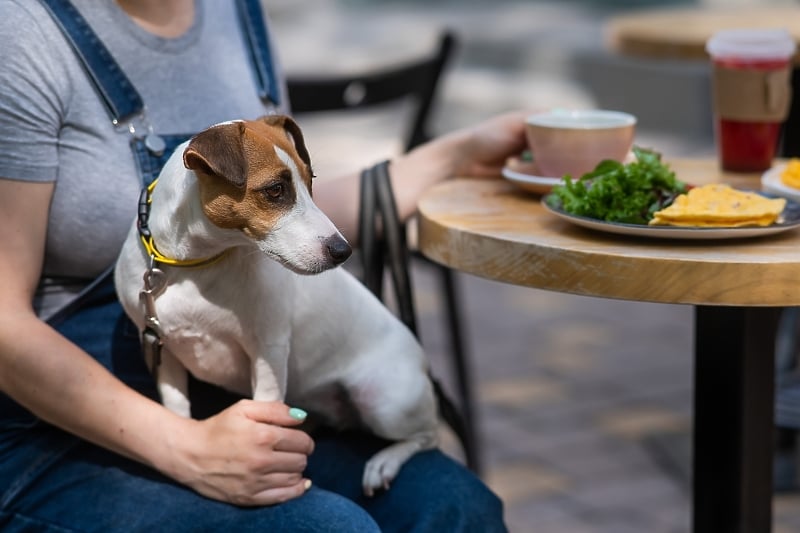 Fotografija ne predstavlja stvarnu lokaciju (Foto: Shutterstock)