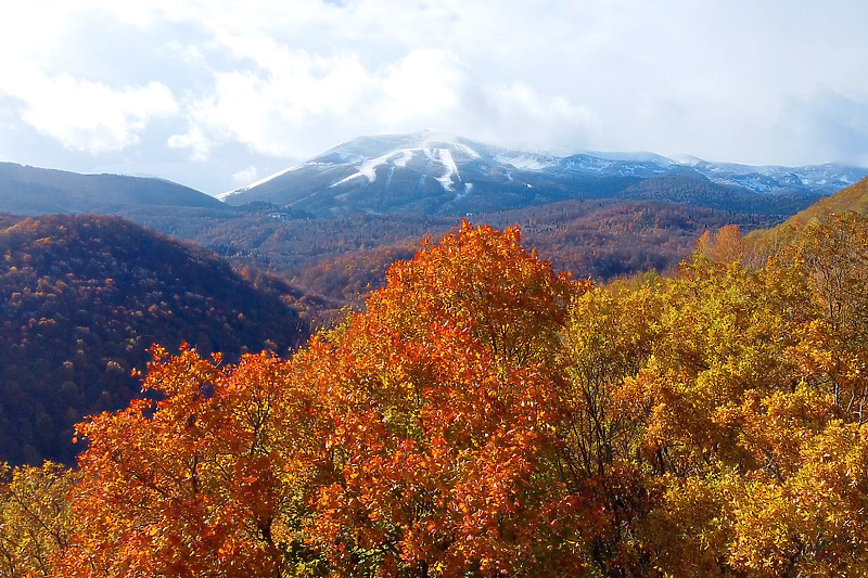 Bjelašnica (Foto: Olimpijski centar Bjelašnica)