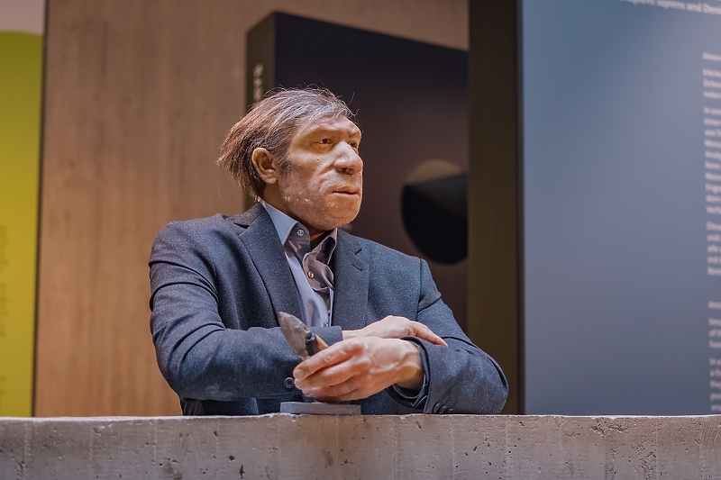 Lutka neandertalca obučenog u moderno odijelo u muzeju u Njemačkoj (Foto: Shutterstock)