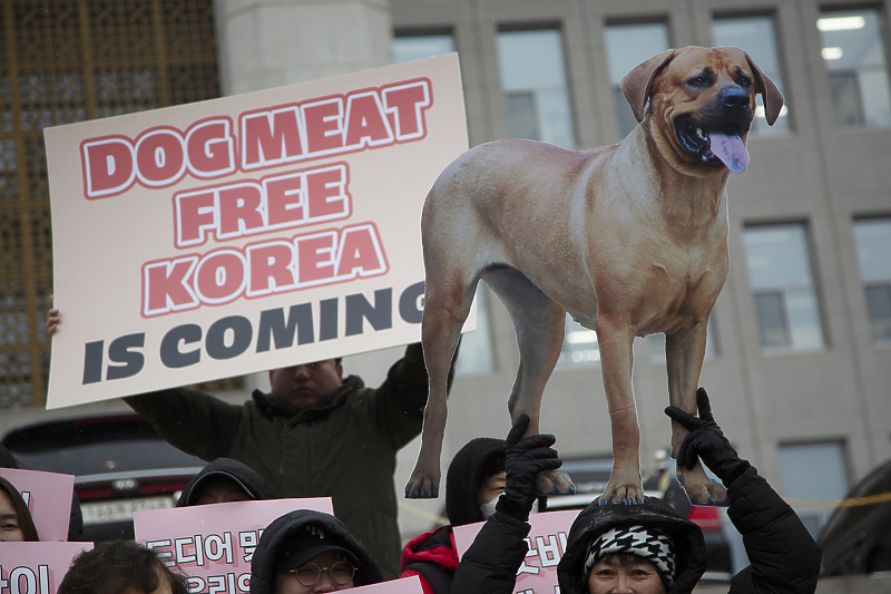Aktivisti u Južnoj Koreji drže transparente kojima poručuju da se protive konzumiranju psećeg mesa (Foto: EPA-EFE)
