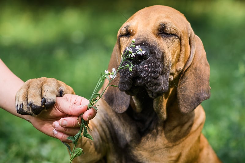 Foto: Shutterstock