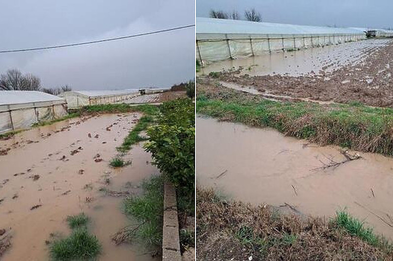 Poplavljeni poljoprivredni usjevi u Hercegovini (Foto: Facebook)