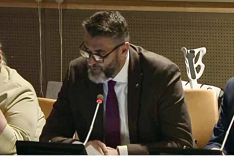 Obraćanje direktora Memorijalnog centra Srebrenica Emira Suljagića u UN-u (Screenshot: UN TV)