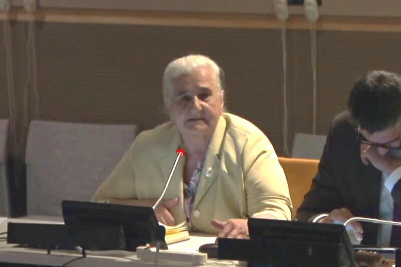 Obraćanje Munire Subašić na panel diskusiji UN-a o genocidu u Srebrenici (Screenshot: UN TV)