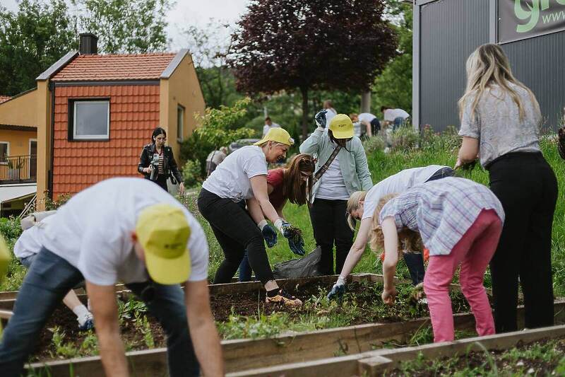 Volonterske aktivnosti Raiffeisen banke u Sumeru