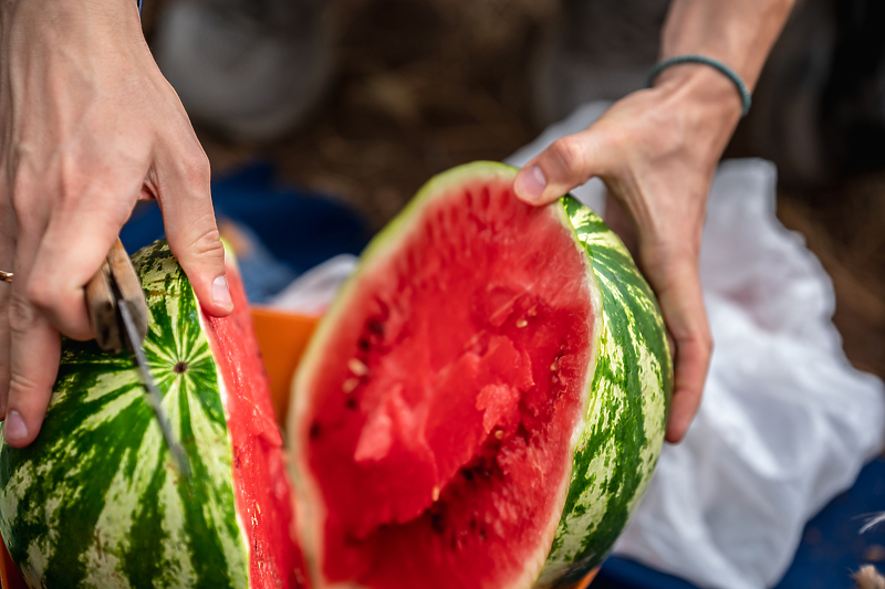 Foto: Shutterstock/Klix.ba