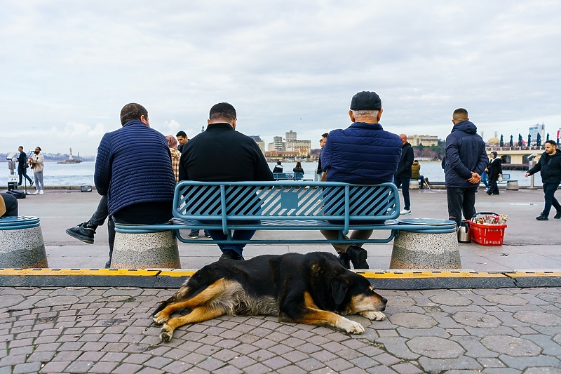 Foto: Shutterstock/Klix.ba