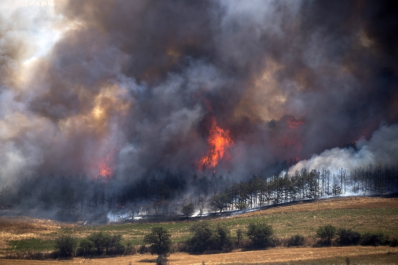 Vatra u Sjevernoj Makedoniji (Foto: EPA-EFE)