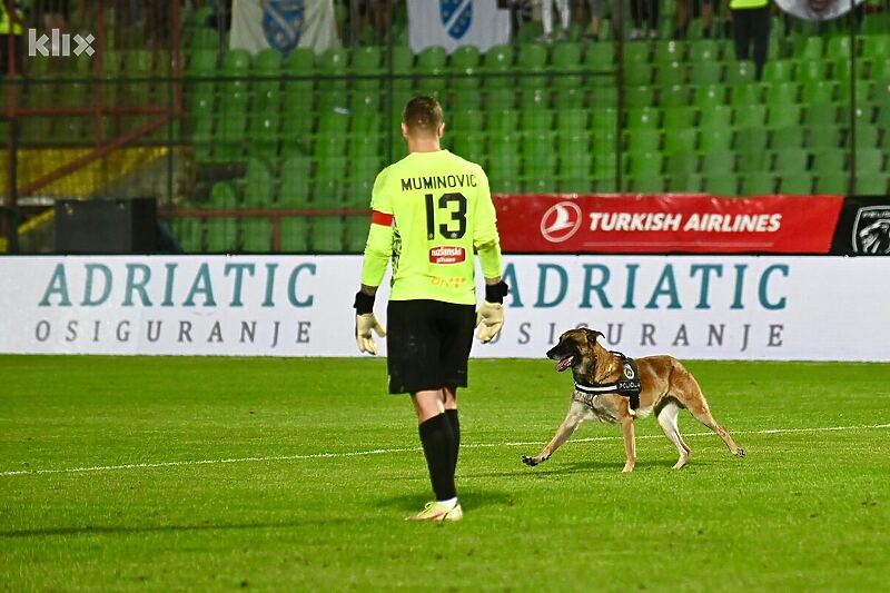 Trenutak kada je policijski pas "paradirao" terenom na Koševu (Foto: T. S./Klix.ba)