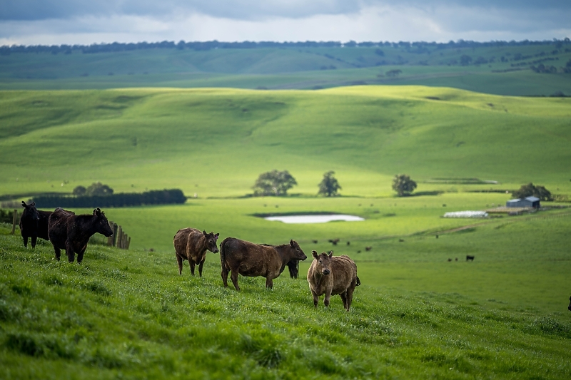 Foto: Shutterstock/Klix.ba