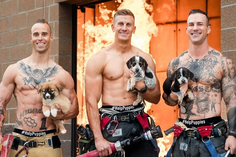 Foto: Fire Rescue Dogs