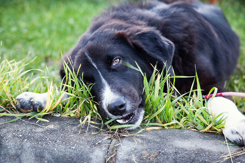 Foto: Shutterstock/Klix.ba