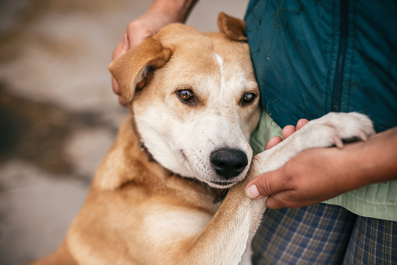 Foto: Shutterstock/Klix.ba