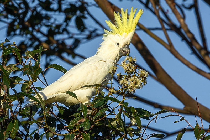 Foto: Shutterstock/Klix.ba