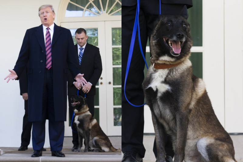 Donald Trump (Foto: EPA-EFE)