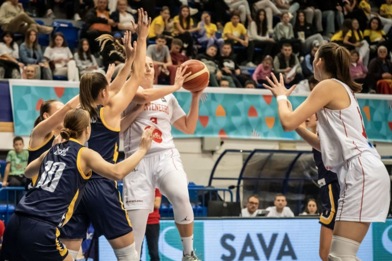 Detalji sa utakmice između Crne Gore i BiH (Foto: basket.ba)