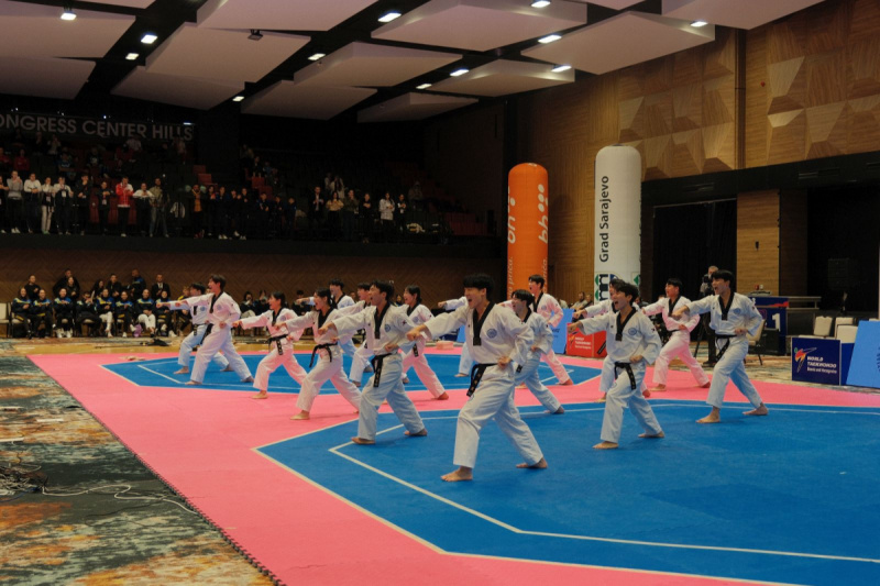 Foto: Taekwondo savez BiH