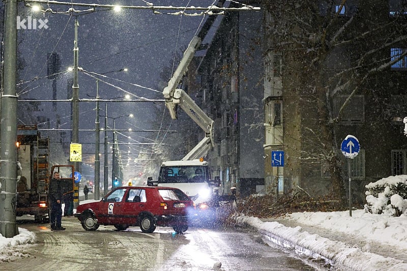 Stablo u Bulevaru Ivice Osima (Foto: I. L./Klix.ba)