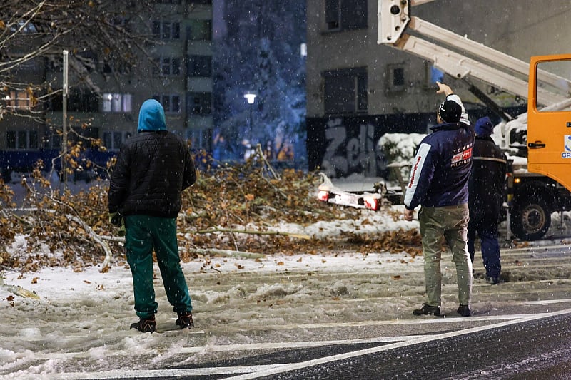 Stablo je brzo uklonjeno (Foto: I. L./Klix.ba)