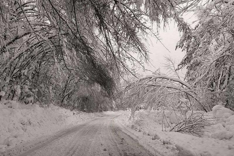 Foto: Čitatelj